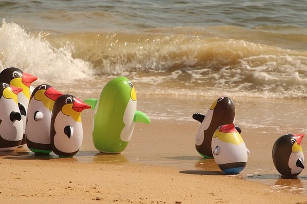 Découvrez le fun du bubble foot chez unigames